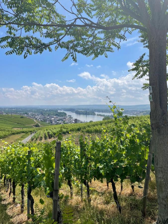 Апартаменты Good Times In St. Goar Санкт-Гоар Экстерьер фото