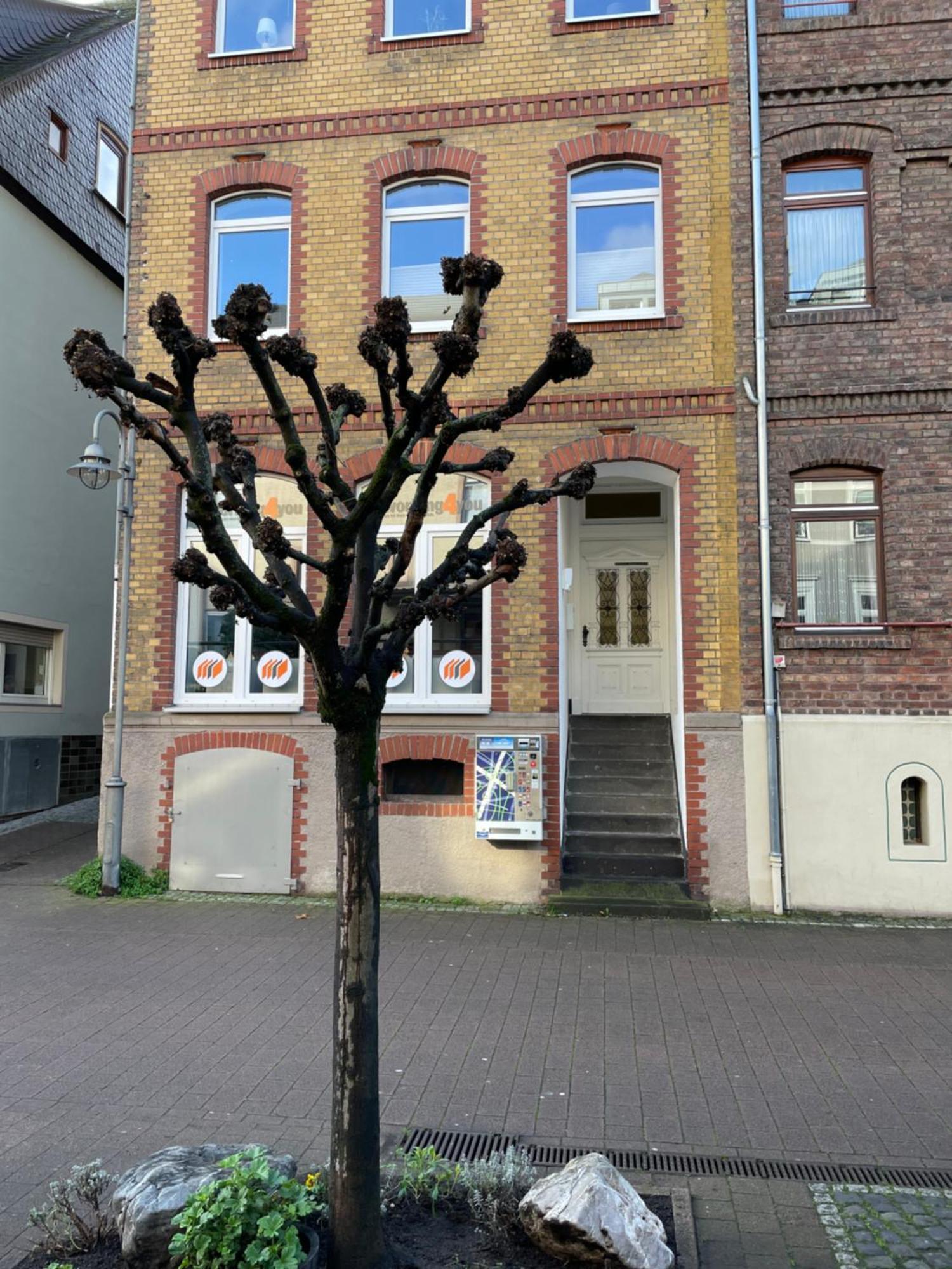 Апартаменты Good Times In St. Goar Санкт-Гоар Экстерьер фото